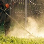 lawn mover on green grass machine for cutting lawn lluznss