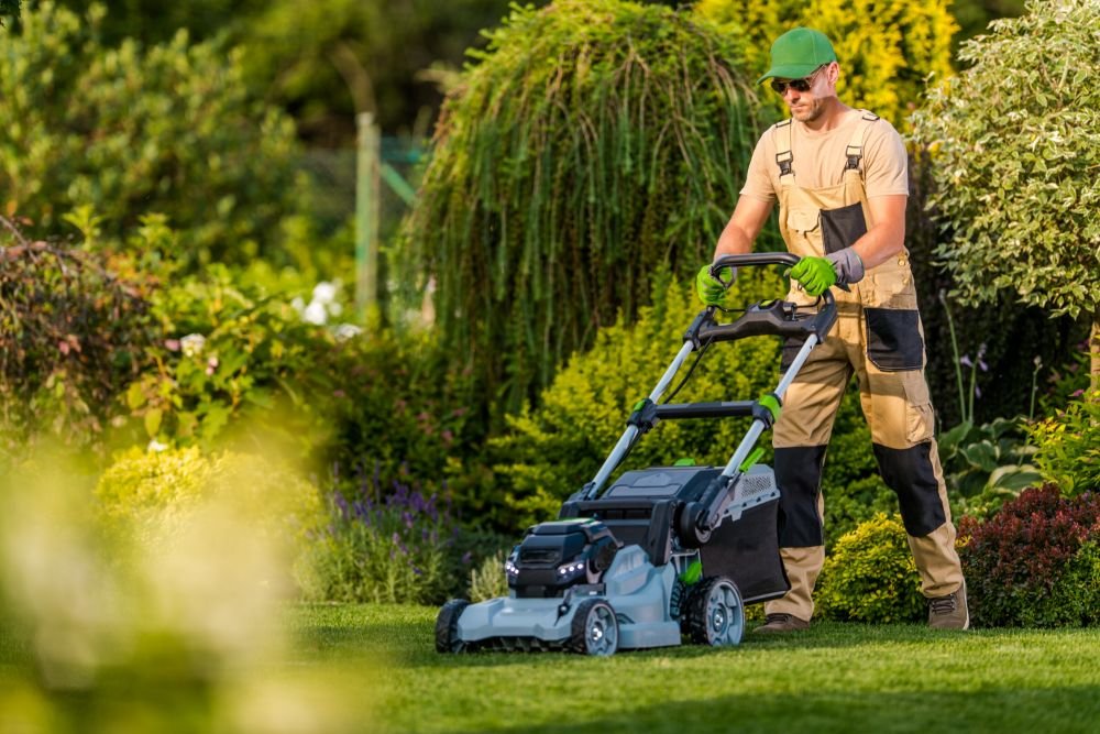 mowing the lawn using professional equipment pnqzm7a