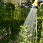system lawn sprinkler turf care smart landscape la wzruwqs