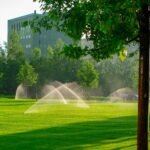 lawn with automatic watering system 82sufna