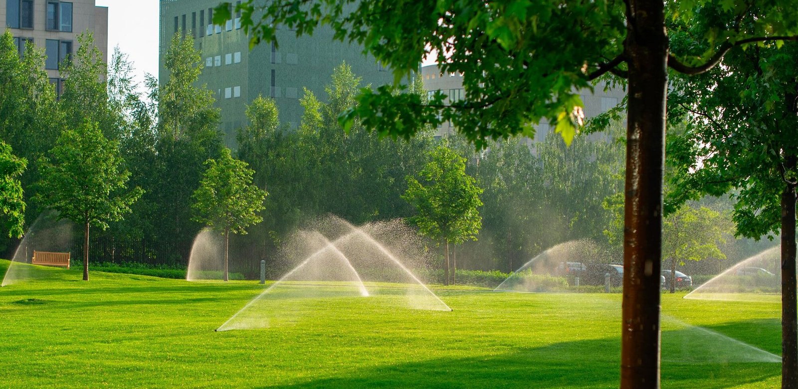 lawn with automatic watering system 82sufna
